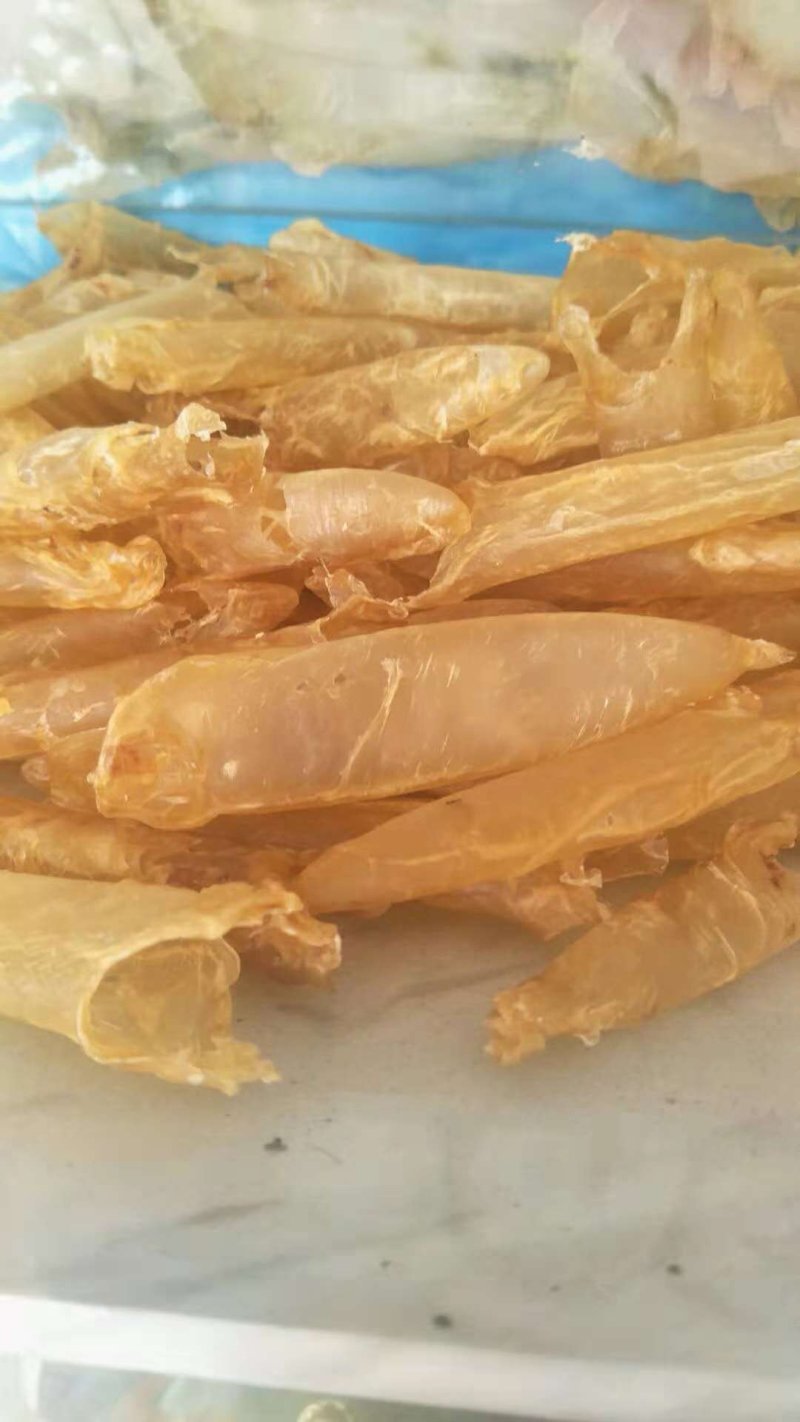 湛江硇洲100头黄花胶