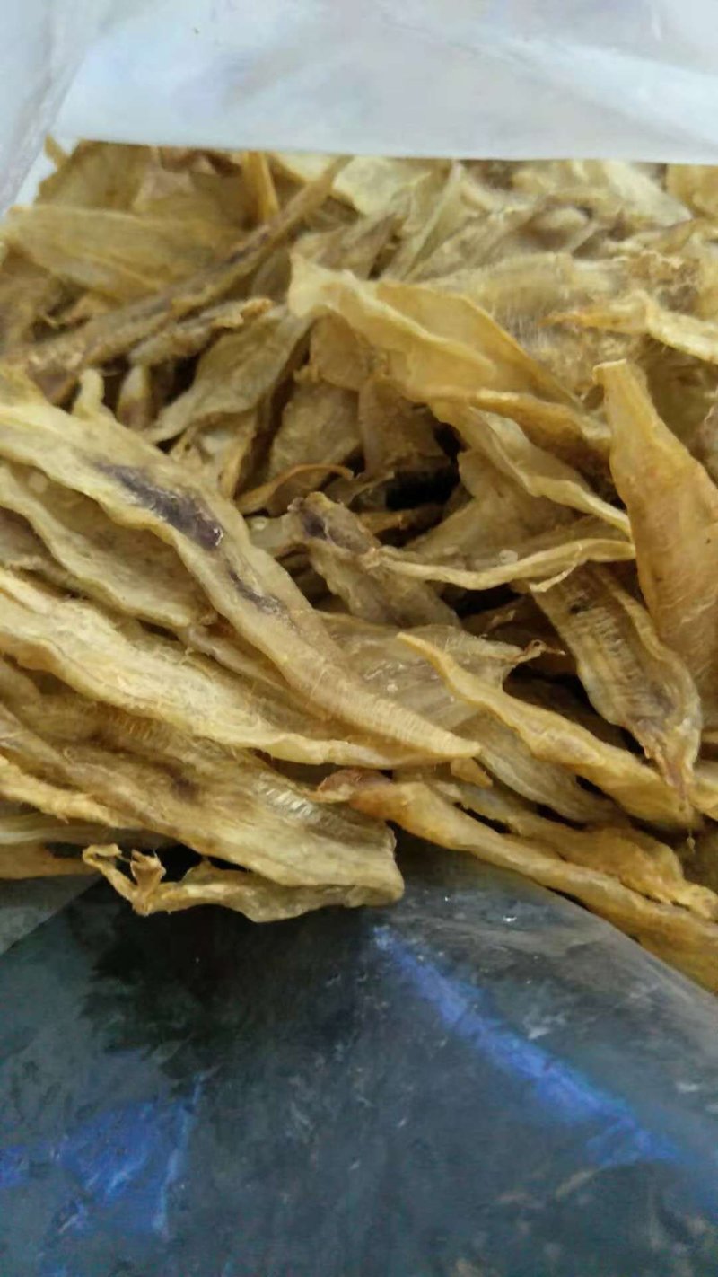 湛江硇洲150头黄花胶