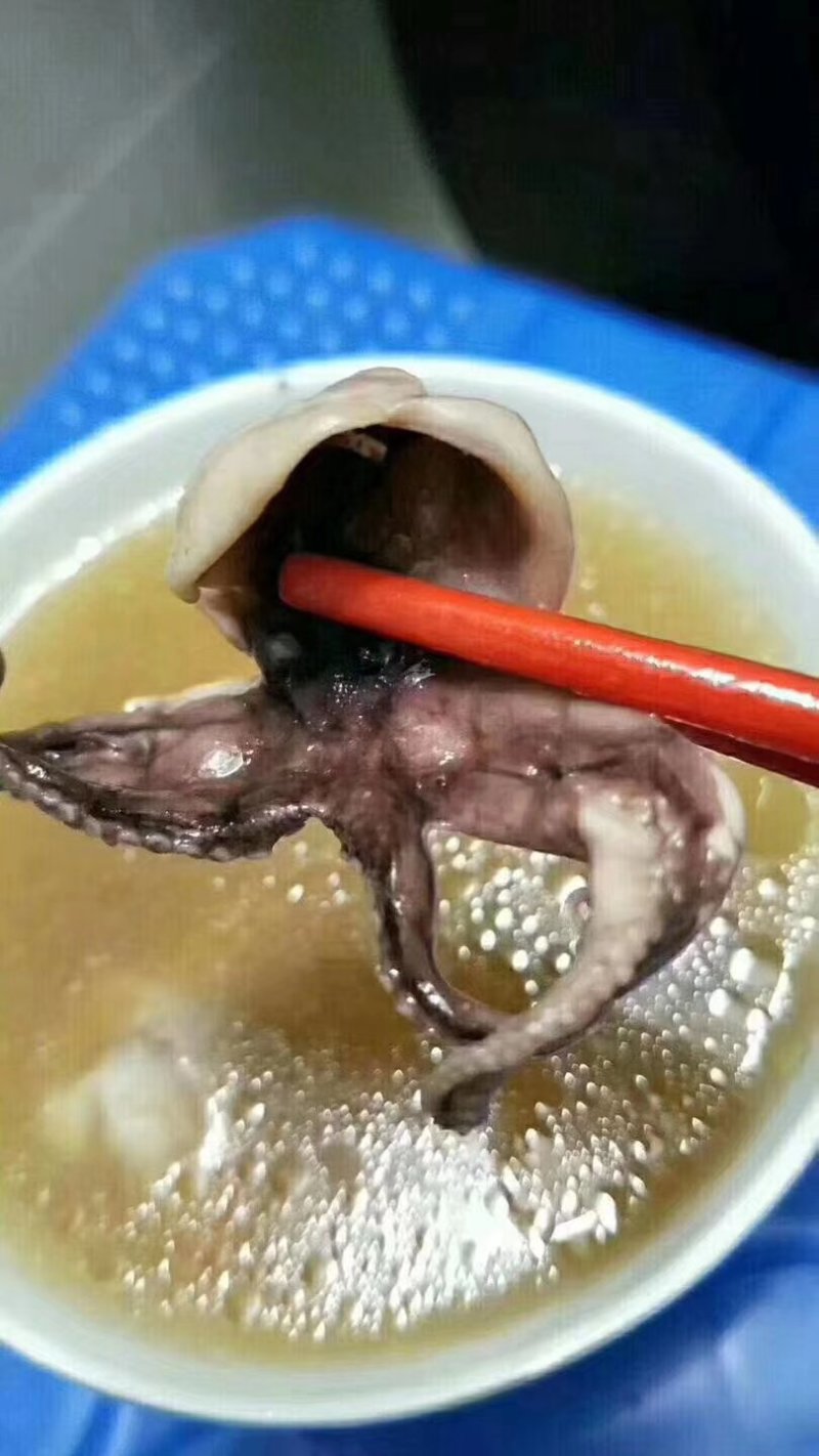 湛江硇洲章鱼干