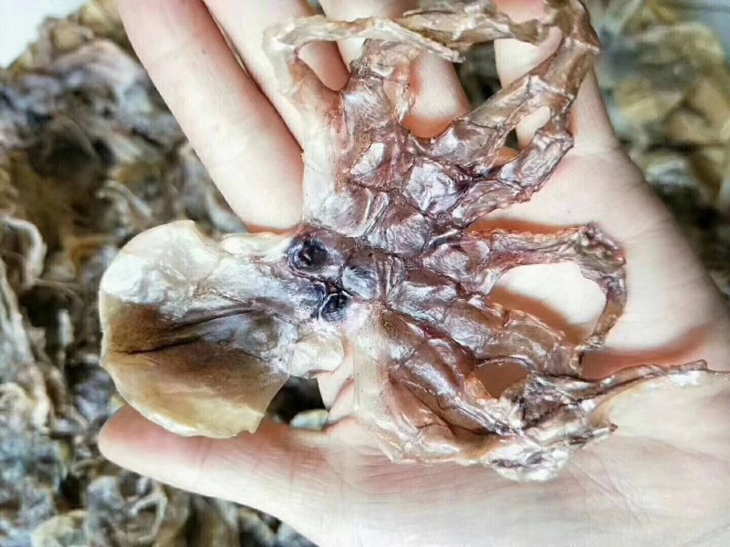 湛江硇洲章鱼干