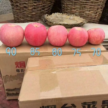 老于果蔬值得信赖常年供应烟台红富士1/2/3级果