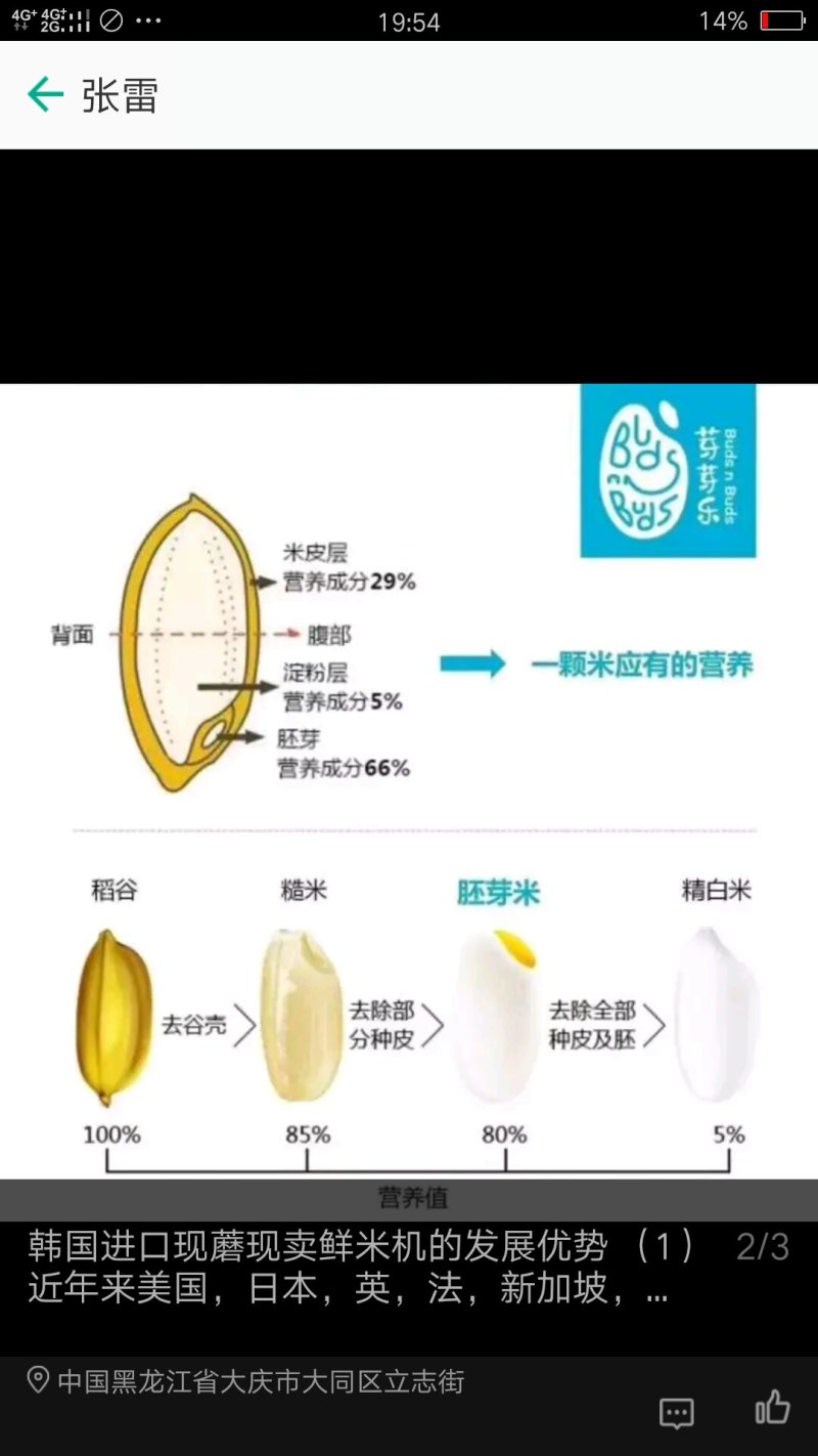碱米
