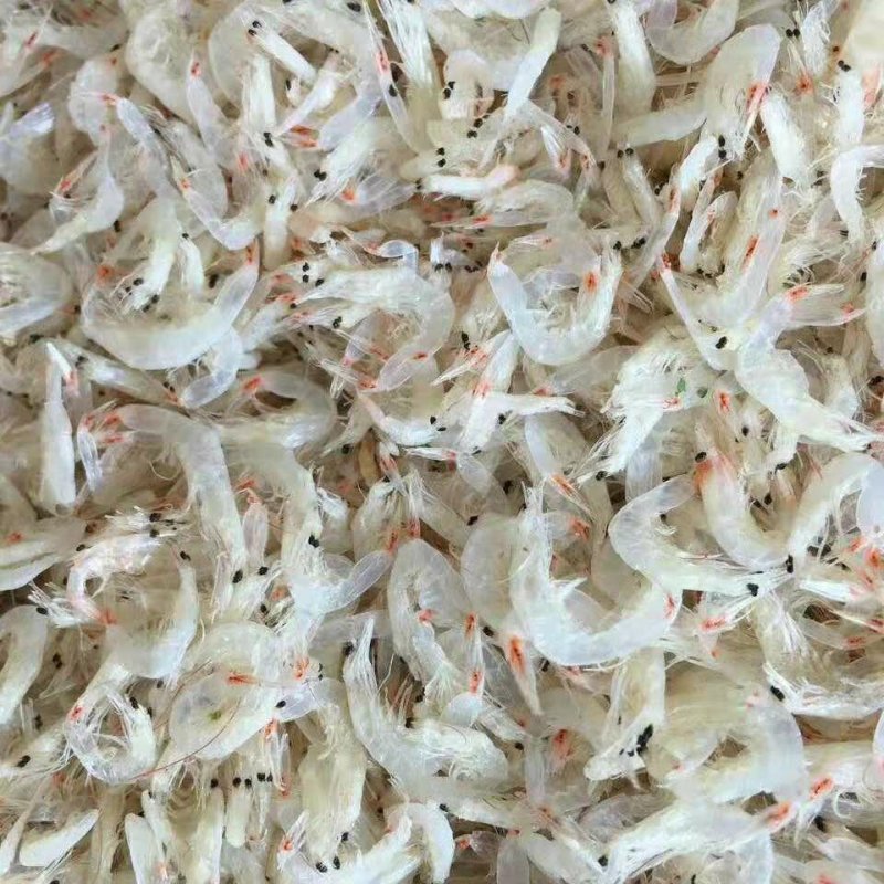 虾皮，非常鲜，保证质量，威海发货