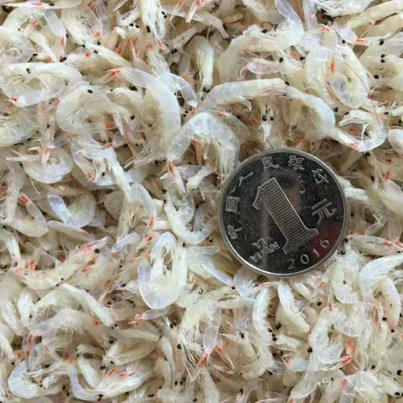 虾皮，非常鲜，保证质量，威海发货