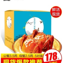 顺丰品质-阳澄湖大闸蟹10只178