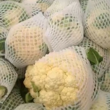 菜花
