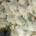 河南优质精选菜花青梗白面，有机花菜基地直采现发
