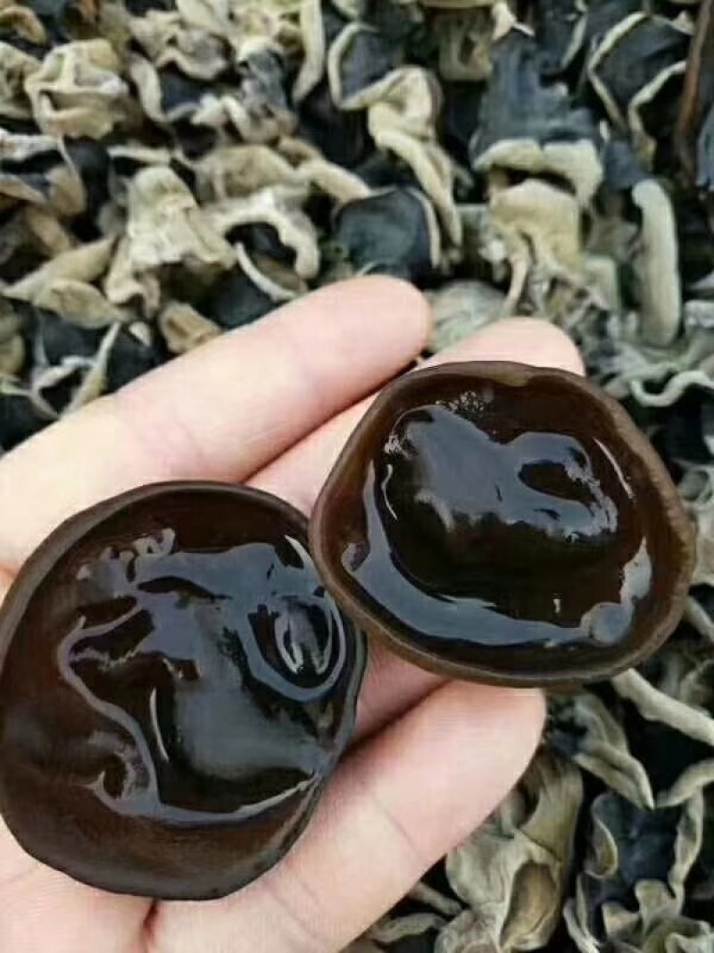 榛蘑干,红磨干木耳