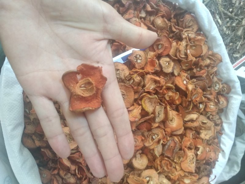 山楂干颜色靓