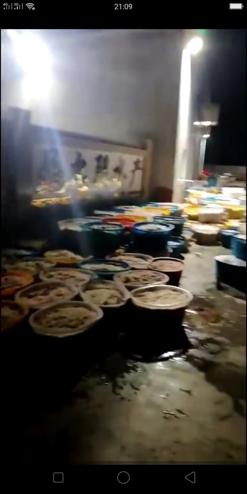 虾皮