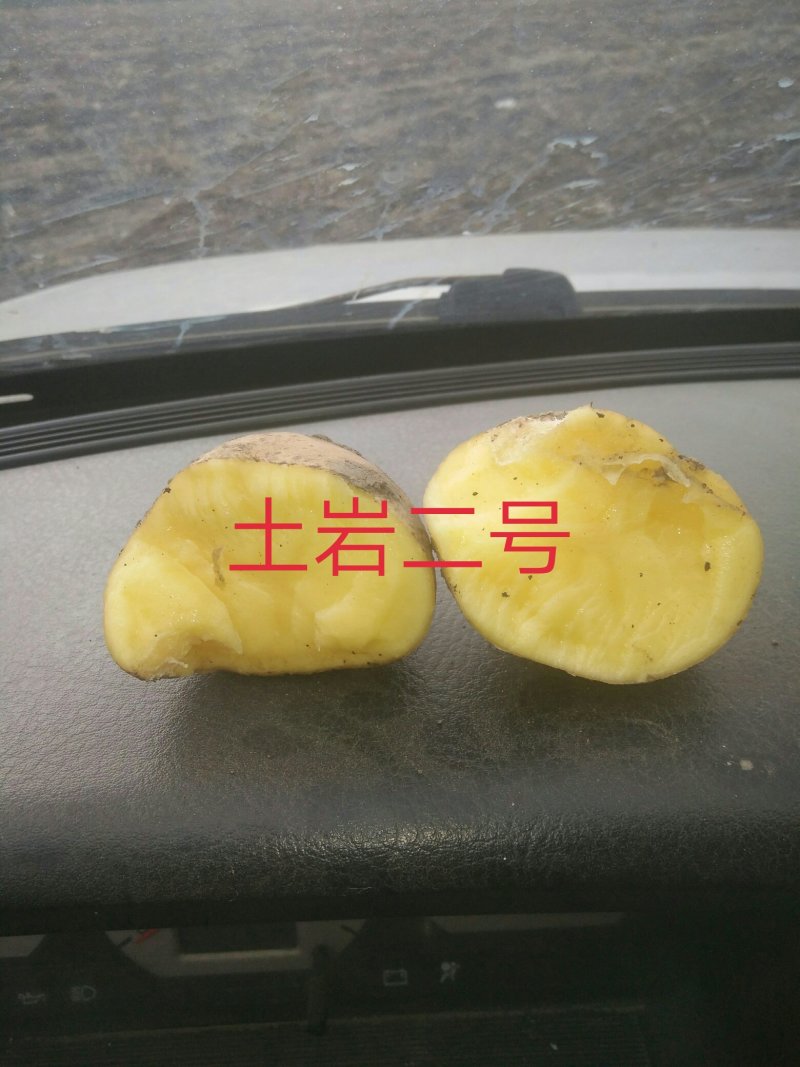 荷兰十五，尤金885,226
