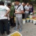 珍珠油杏树苗，中国油杏发源地，保证树苗纯度，保证成活率，