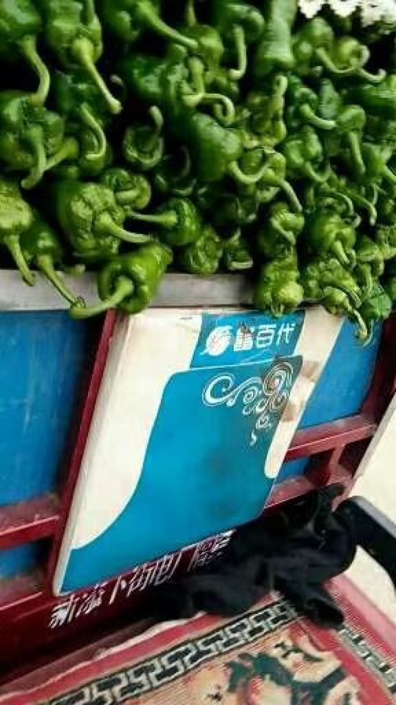 辣椒产地源头，价格合理，调车，打包一条龙服务