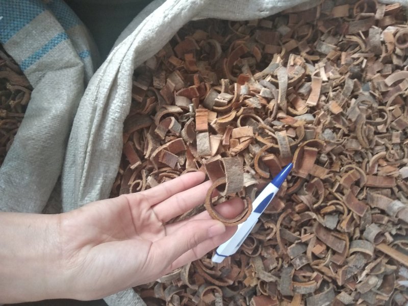 秦皮一级靓货
