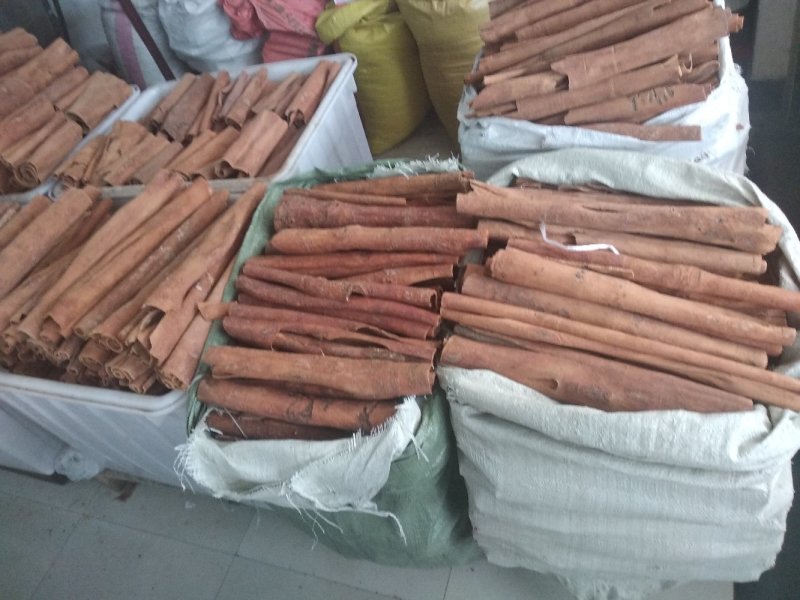 桂枝中大粒桂枝片中药用桂枝、桂枝头片、桂尖