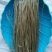 红薯粉条