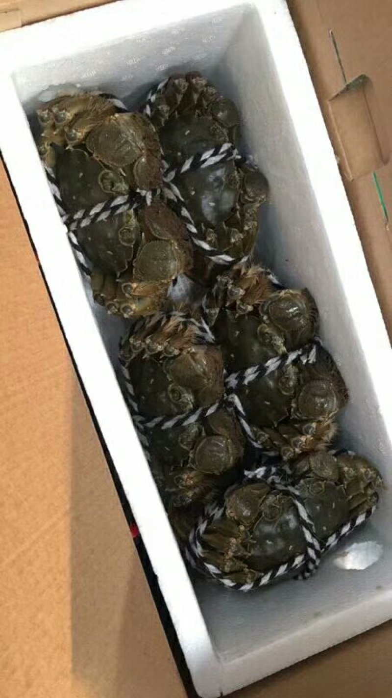 大闸蟹