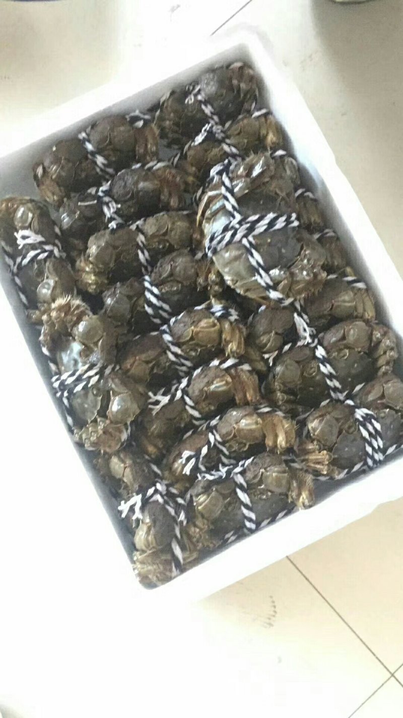 大闸蟹