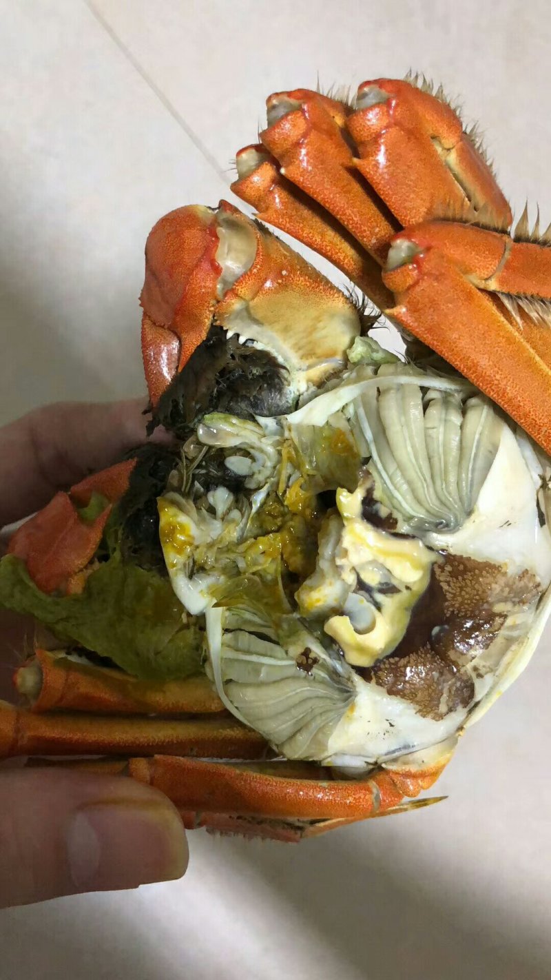 大闸蟹