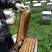 新疆伊犁高加索黑蜂蜂蜜