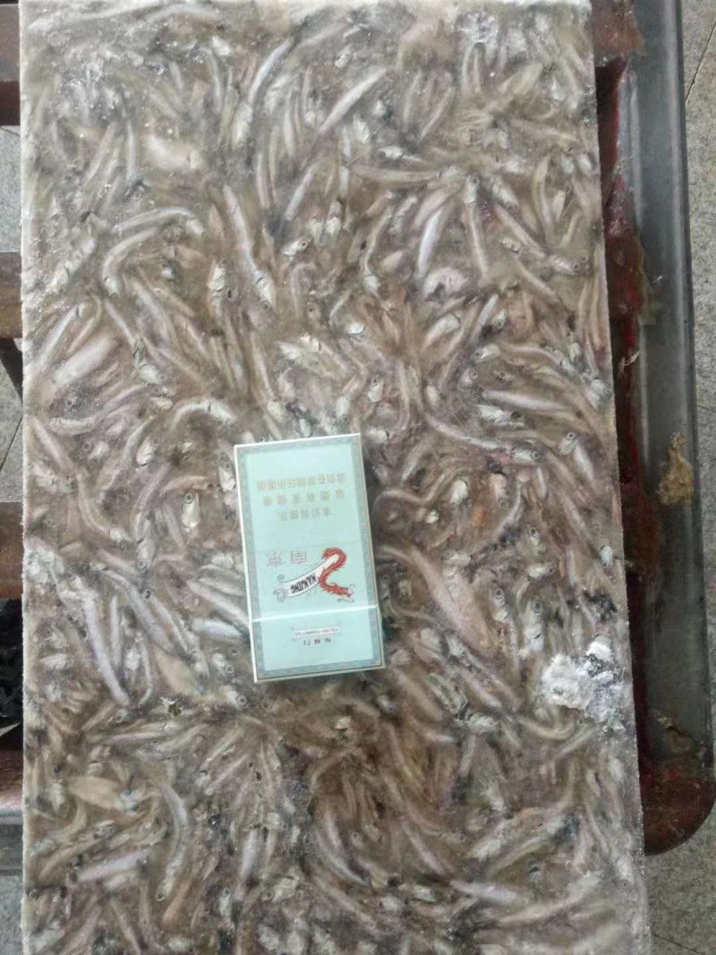 特种养殖