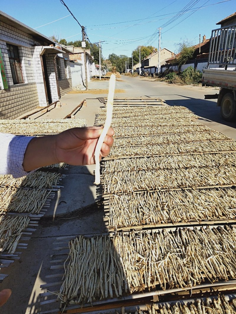 牛膝种子