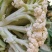 【精品】松花，青梗白面，质量好质量保证协助调车