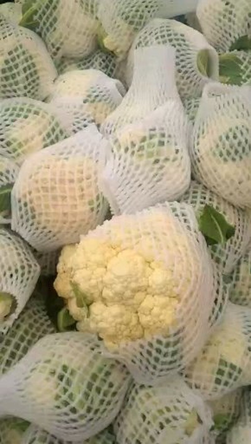 菜花