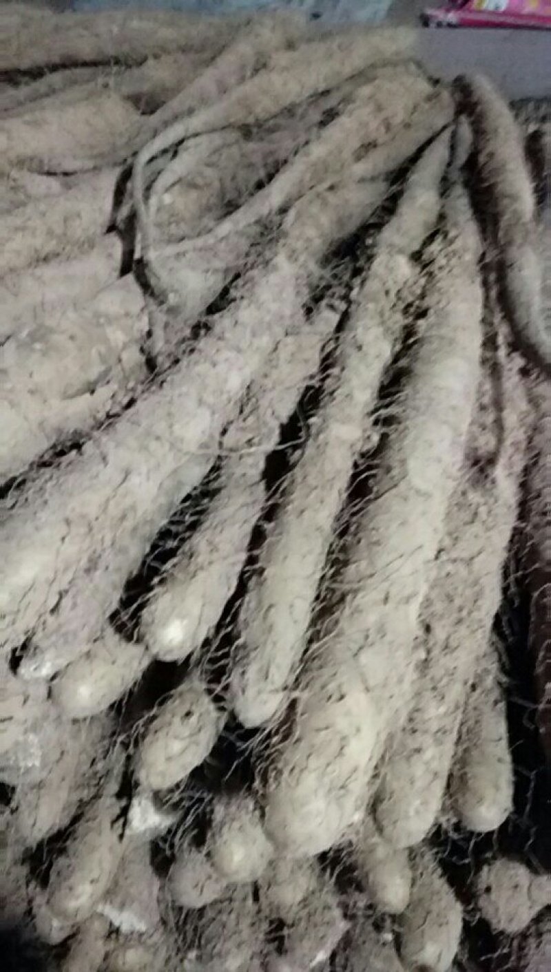 白玉粗货