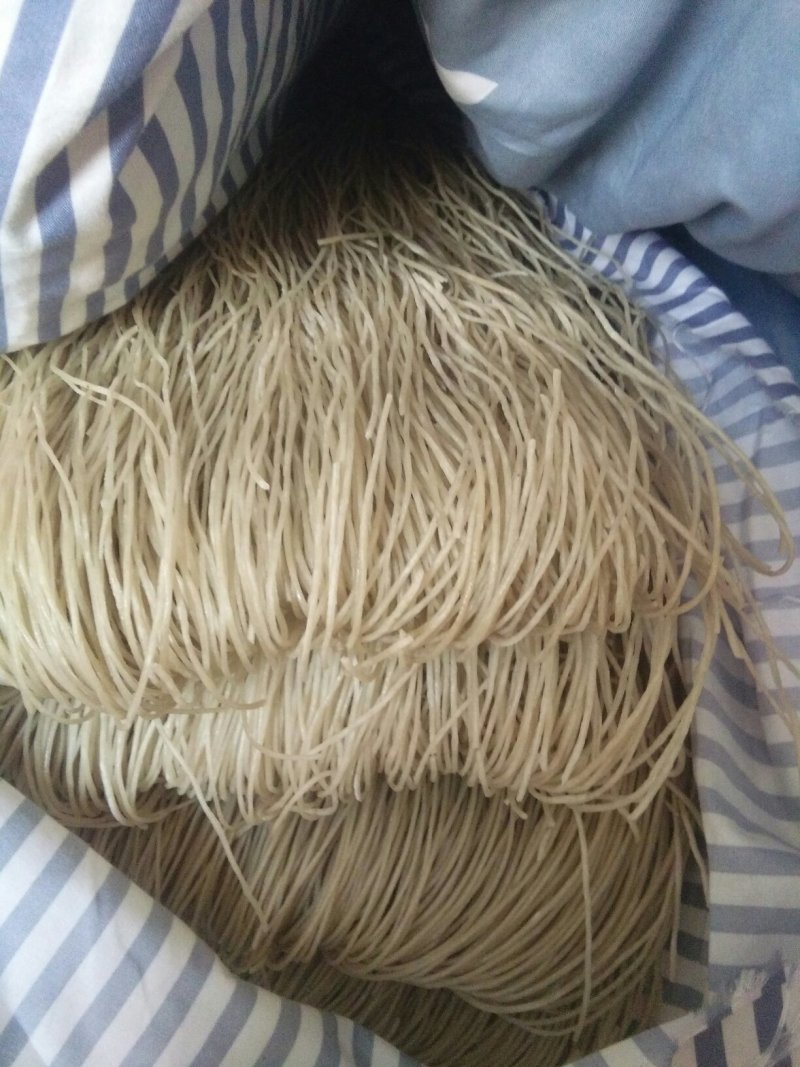红薯粉条