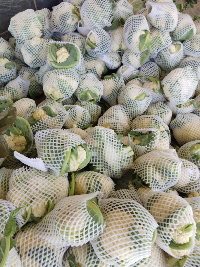 精品，小菜花