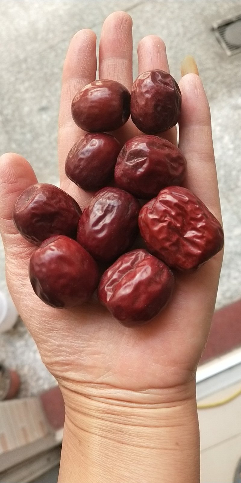 稷山板枣