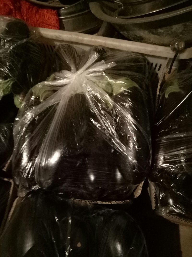 765精品茄子大量有货需要联系，需要什么样的包装都有欢迎