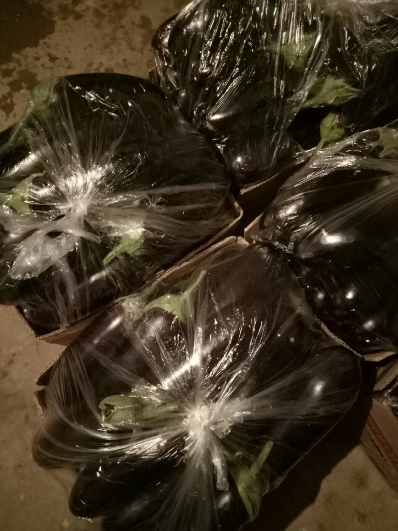765精品茄子大量有货需要联系，需要什么样的包装都有欢迎