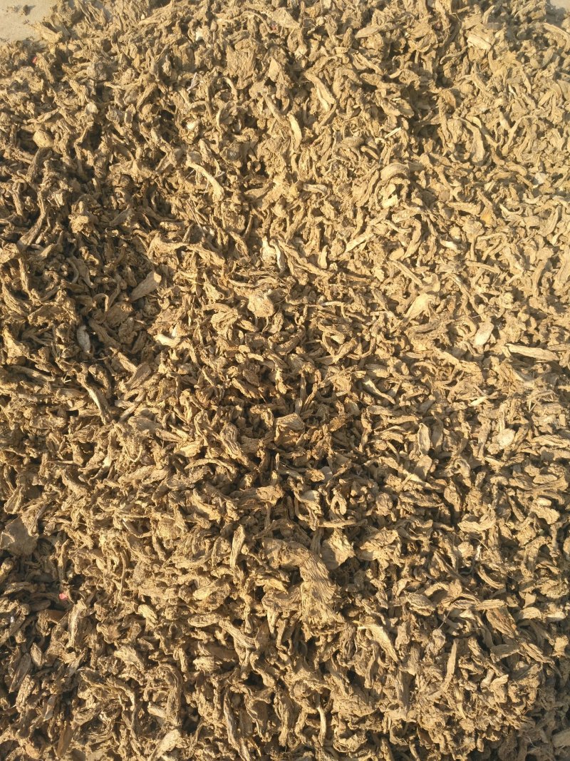 干姜片水洗姜片姜干