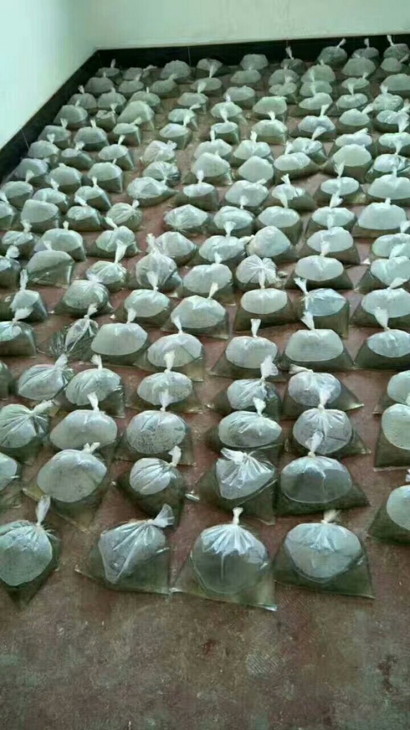青蛙苗，卵，健康开口幼蛙，包技术