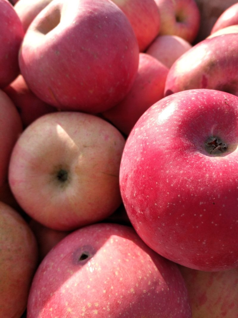 红富士苹果🍎