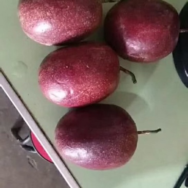 百香果，欢迎电商长年定货