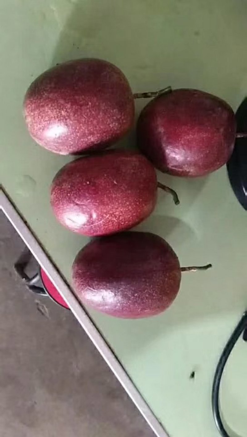 百香果，欢迎电商长年定货