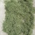 赤峰架豆王豆角丝自然晒干