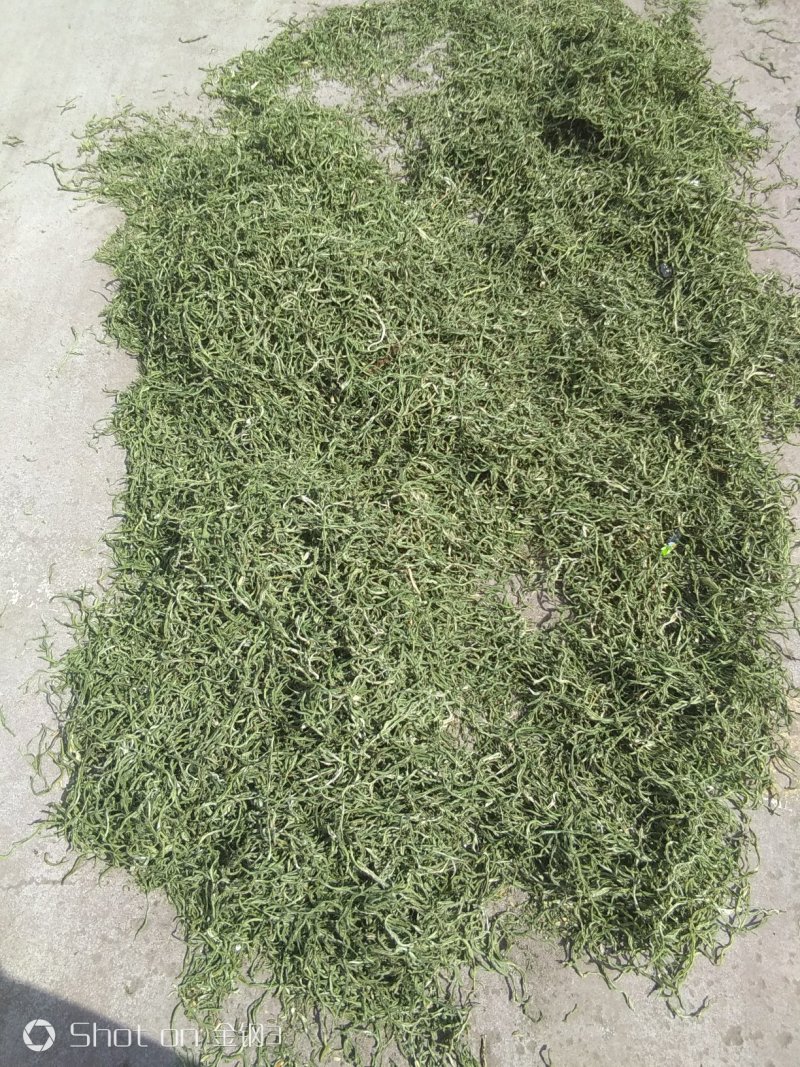赤峰架豆王豆角丝自然晒干