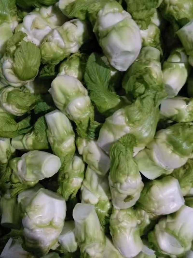 儿菜