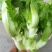 儿菜