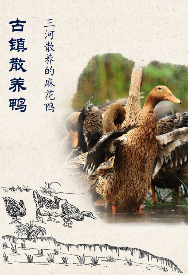 咸鸭安徽特产自制徽州板鸭