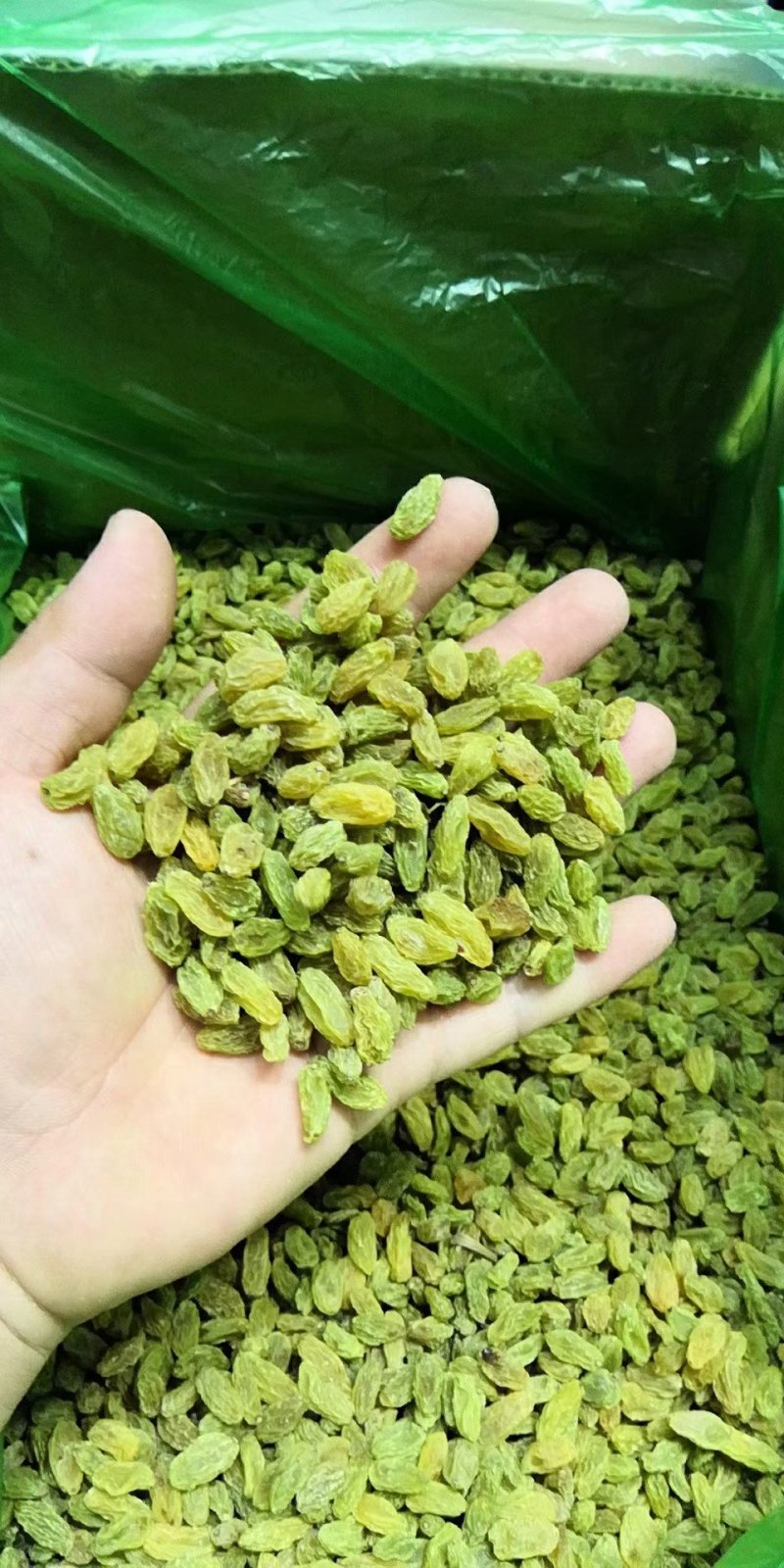 新疆葡萄干，精绿大葡干