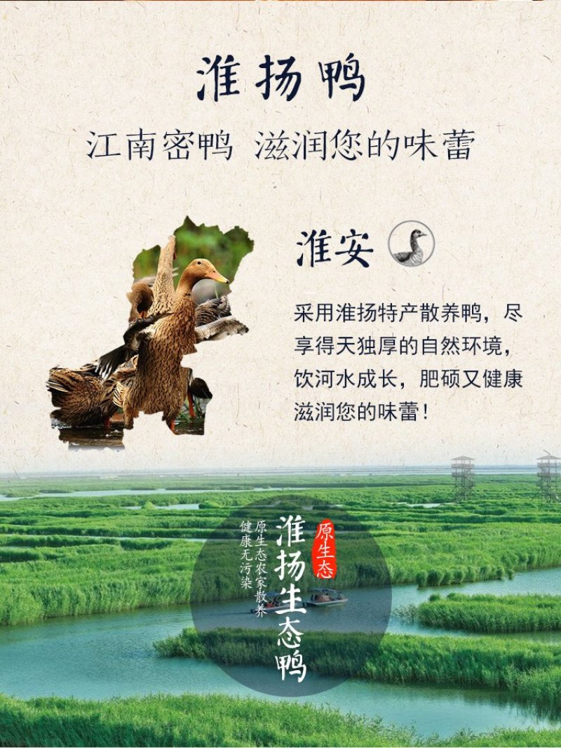 酱鸭淮安特产脆皮鸭