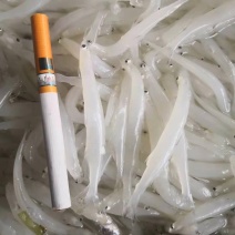 银鱼冰鲜鱼大银鱼，冻板
