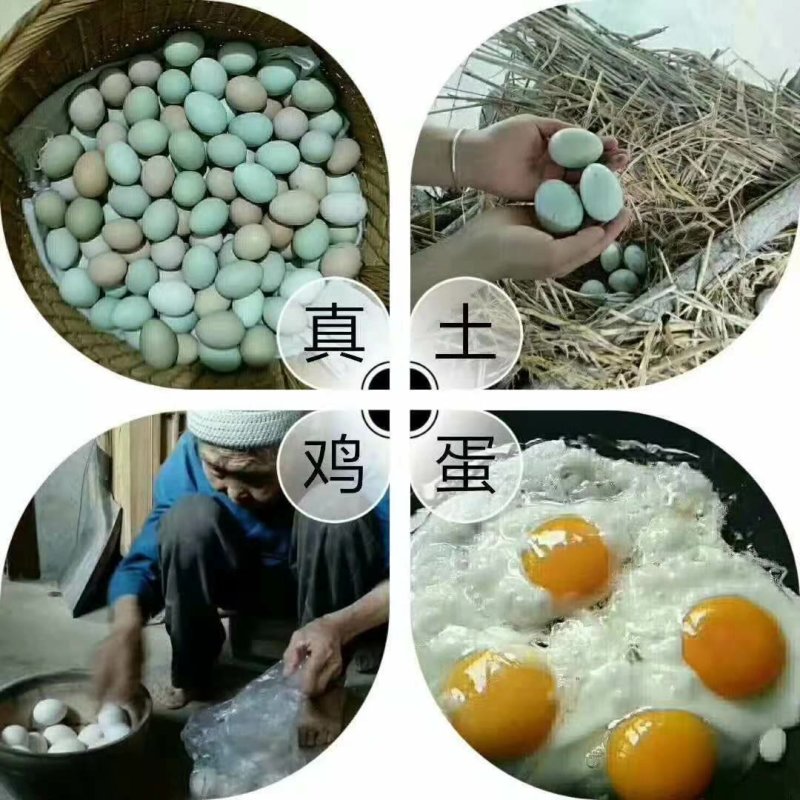 禽畜精加工品