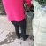 巨峰葡萄苗根系发达苗圃现挖保湿发货提供技术指导