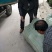 巨峰葡萄苗根系发达苗圃现挖保湿发货提供技术指导